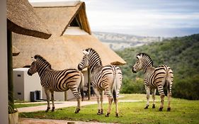 Jbay Zebra Lodge